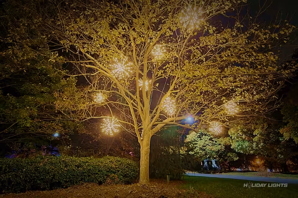 Professional tree wrapping services in Center City, Pennsylvania — Holiday Tree Wrapping